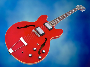 Kasuga ES-335 â beauty 1